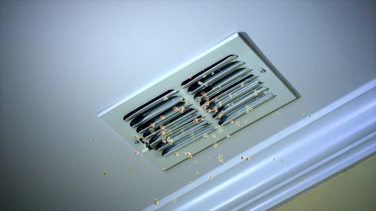 Best Best Air Duct Cleaning Company  in Great Falls, VA