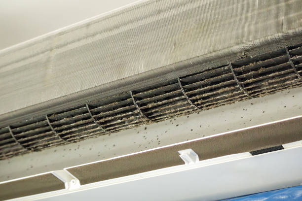Best HVAC Air Duct Cleaning  in Great Falls, VA